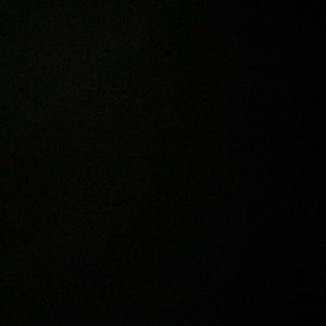 Meet your Posher, Dylan